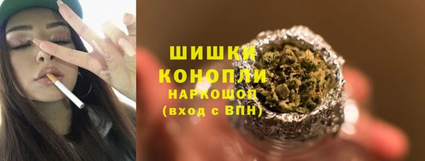бошки Богданович