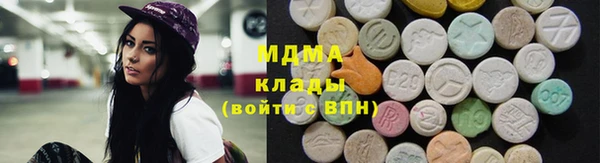 spice Богородск