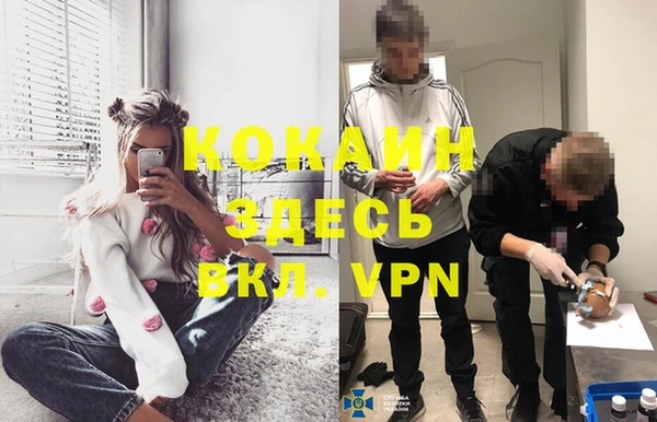 бошки Богданович