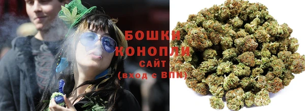 spice Богородск