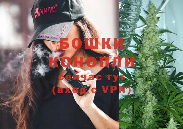 бошки Богданович