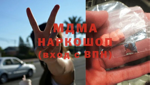 spice Богородск